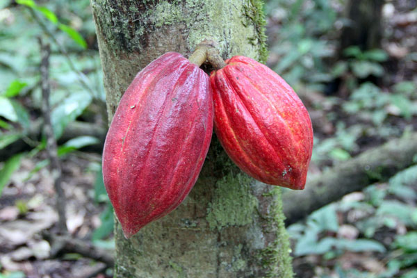 Esmeraldas, Ecuador