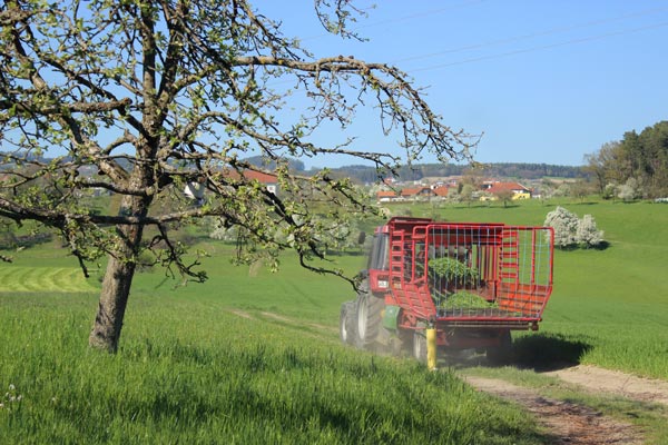 Auf dem Weg zum Feld