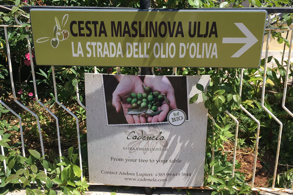 La Strada Dell' Olio d'Oliva