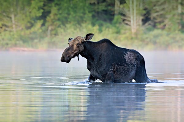 Ohne Wasser kein Leben